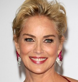 シャロン・ストーンの現在は?氷の微笑で悪女!映画監督でラッセル・クロウを起用!