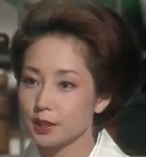山本陽子のデビューからの出演ドラマ映画cmを画像で！