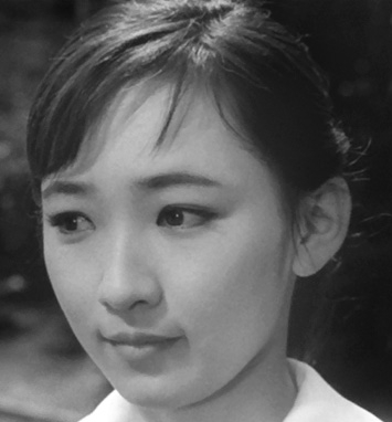 渡辺美佐子の若い頃は?デビューからの出演ドラマ映画を画像で!