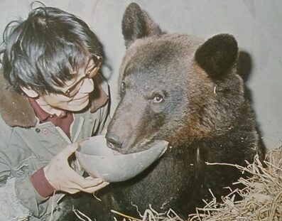ムツゴロウ(畑正憲)は発情期を迎えた熊にパンチで応戦していた！