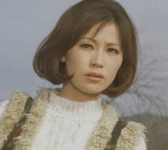 藤田みどり